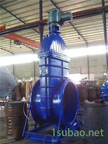 供应中诚铸铁电动暗杆软密封闸阀图4