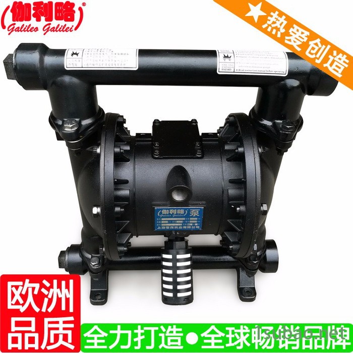 上海搅拌机输送泵 上海隔膜泵塑料 上海各项隔膜泵 伽玖图5