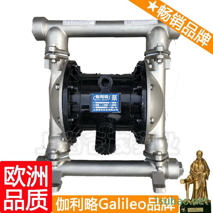 上海搅拌机输送泵 上海隔膜泵塑料 上海各项隔膜泵 伽玖图4