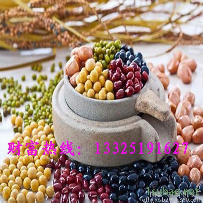 【家用手工石磨机】小麦面粉石磨机 电动红薯面粉石磨机 厂房推荐图5