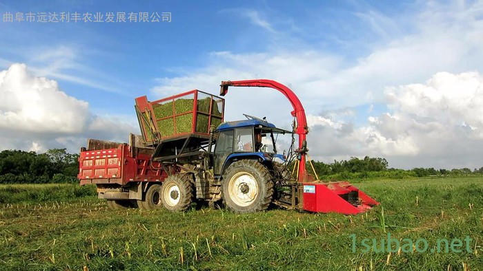 大型割台盘刀式青储机 料仓悬挂秸秆粉碎收集机 自卸式牧草回收机青储机图2