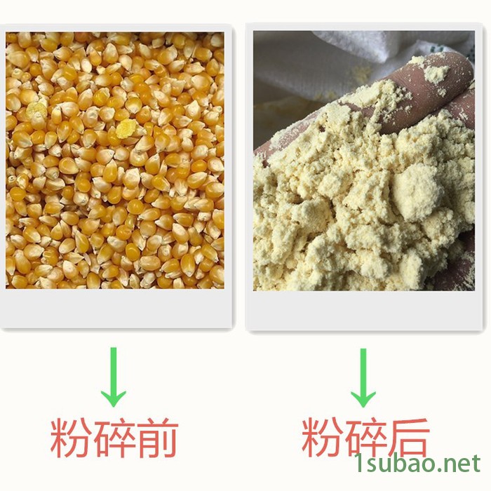 现货供应  自吸式  杂粮磨粉机 中草药磨粉机  超细磨粉机图5