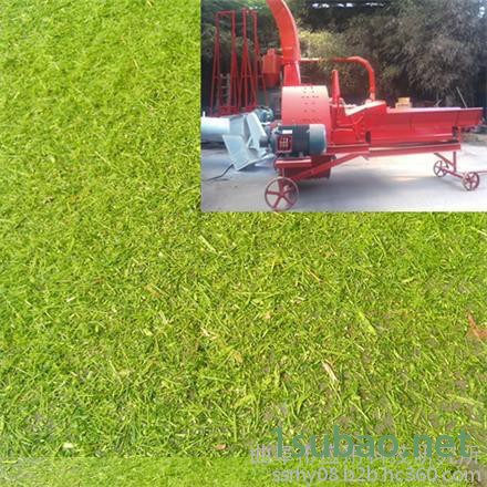 多功能揉搓粉碎机秸秆饲草打浆揉搓机自动进料秸秆揉搓粉碎机图4