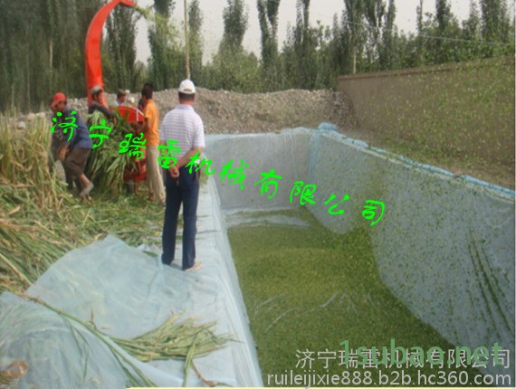 人工推动自动进料铡草机  多功能家用秸秆粉碎机价格e图3