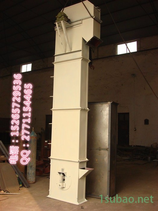 商场多功能提升机        花粉装瓶提升机     高粱上料提升机图4