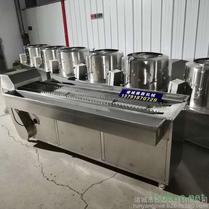 鸡爪切割机  鸡脚切割机  凤爪切割机  两段分割机图7