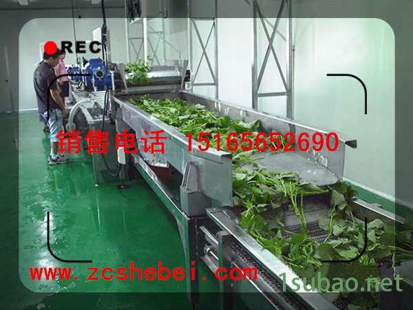 全自动蔬菜清洗风干流水线 蔬菜气泡清洗机 定做翻转式沥水风干 蔬菜清洗风干线图2
