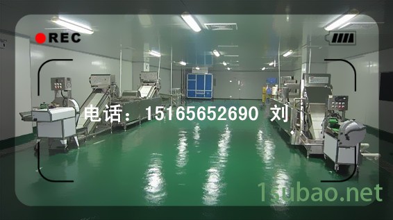全自动蔬菜清洗风干流水线 蔬菜气泡清洗机 定做翻转式沥水风干 蔬菜清洗风干线图4