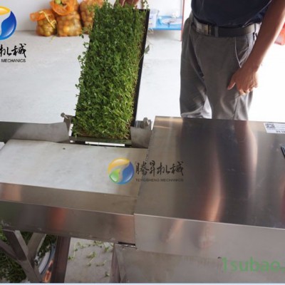 自主研发芽菜切割机 底盘豆类芽苗切割机 豆芽菜生产线 切割长度可调