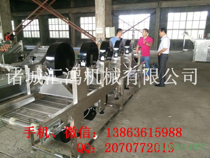 大枣清洗机风干线上下对头风机翻转式，加密网除水烘干线汇鸿HFG-4000图2