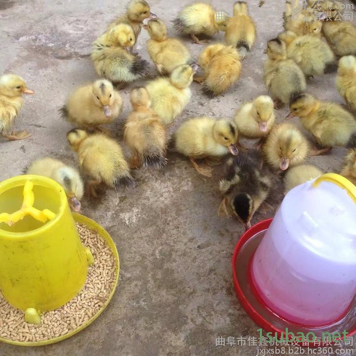 秸秆牛羊颗粒饲料成型机 生物质燃料颗粒机, 再生塑料造粒机图5