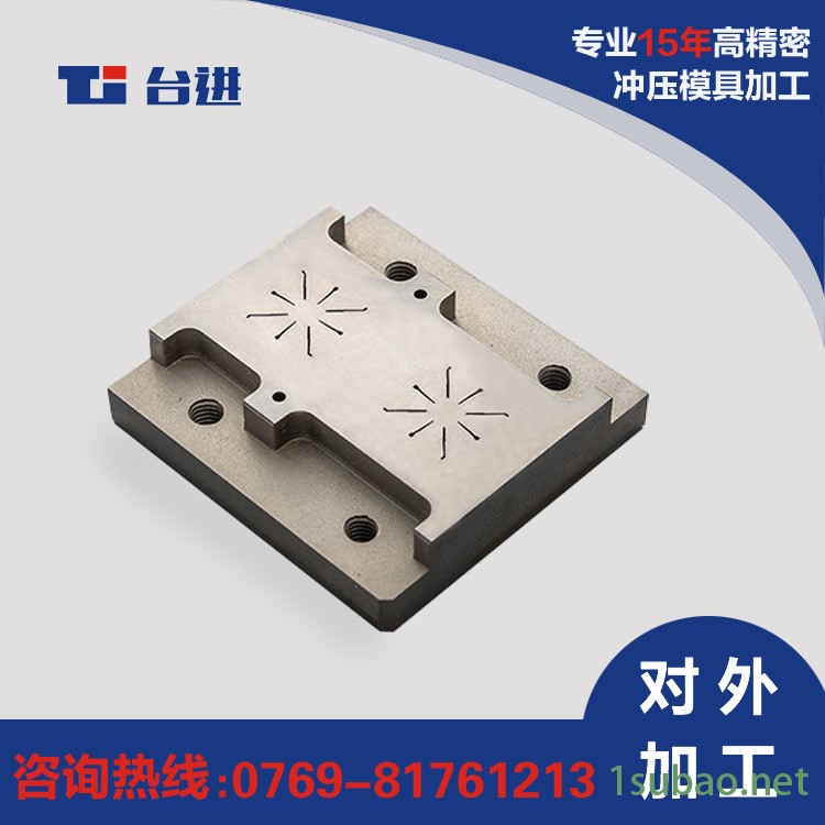 東莞臺進高精密零部件加工 五金沖壓模具加工廠家 模具入塊加工 精度公差±1um