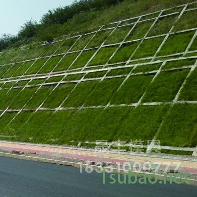 箱式护坡模具防护治理美化环境图4