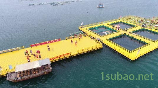 ZR-SJ75-65/33 PE海洋踏板生产线，海水养殖踏板设备，PE海水养殖踏板机械设备 中瑞塑机图2