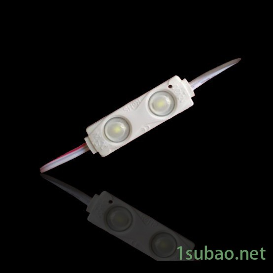 品可信两灯注塑模组 LED模组 LED显示屏配件 LED灯 厂家批发图3