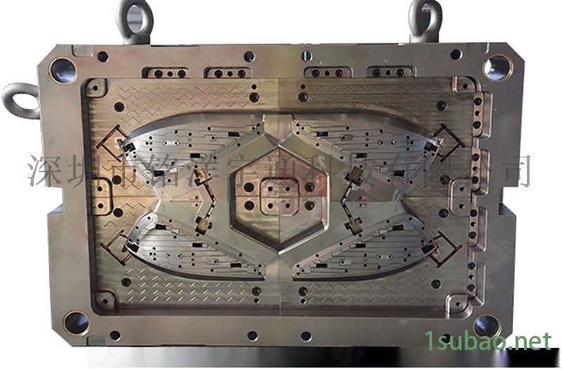 宝马汽车双色注塑模具图2