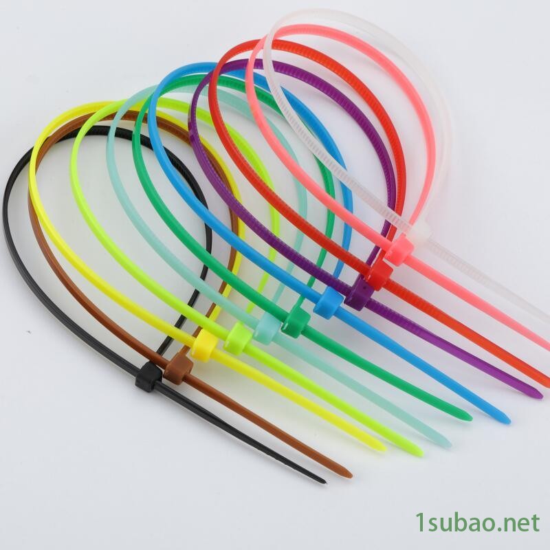 厂家直销变量泵 尼龙扎带  注塑机图2