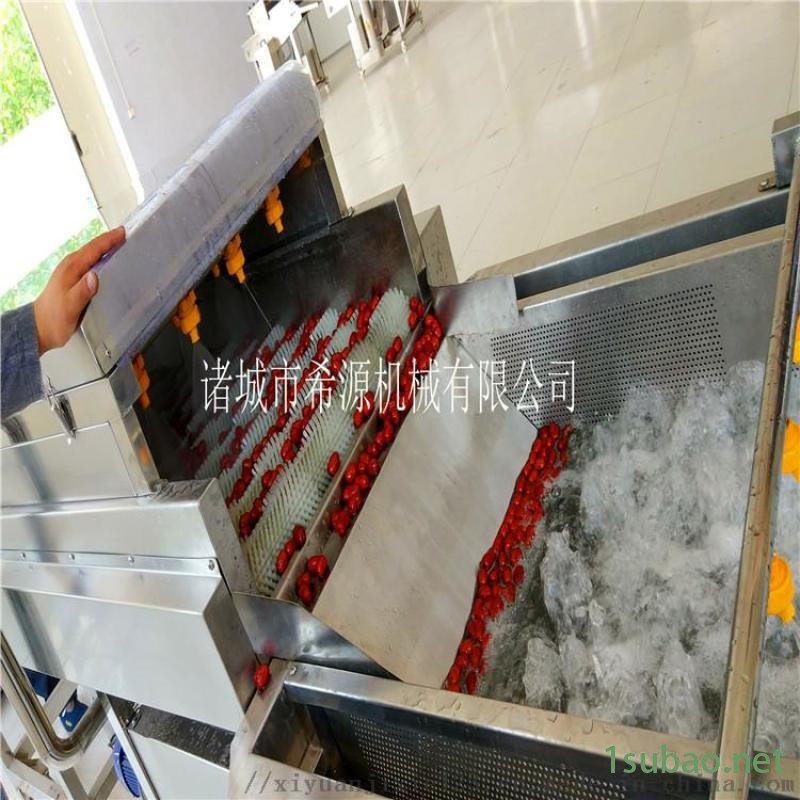 节能环保型大枣清洗机 大枣清洗风干烘干成套设备图5