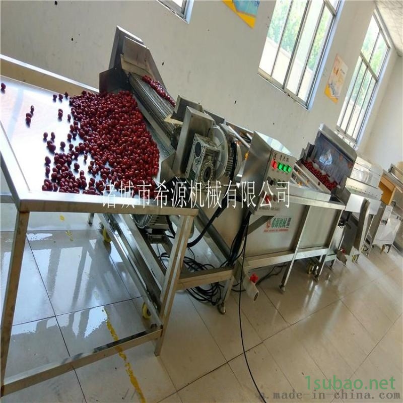 节能环保型大枣清洗机 大枣清洗风干烘干成套设备图4