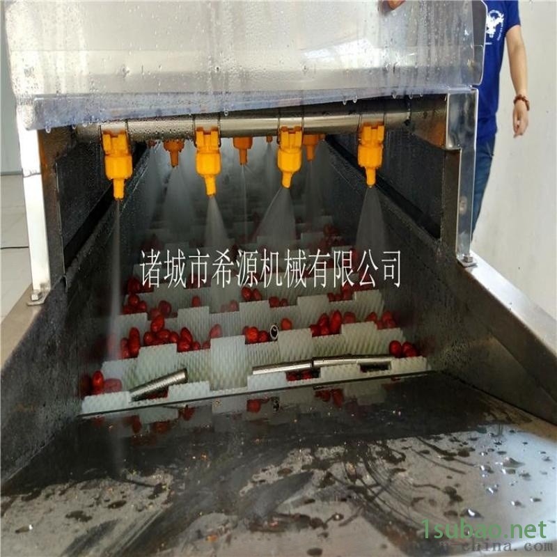 节能环保型大枣清洗机 大枣清洗风干烘干成套设备图2