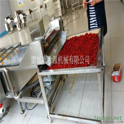 节能环保型大枣清洗机 大枣清洗风干烘干成套设备