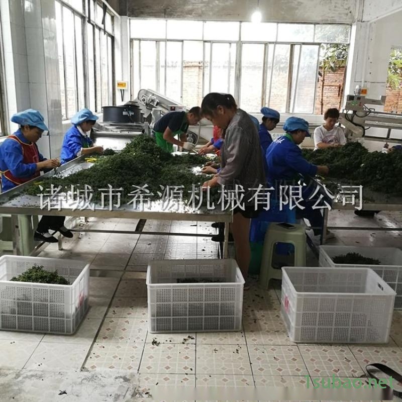 全自动花椒清洗机，花椒杀青机，花椒漂烫机成套设备图3