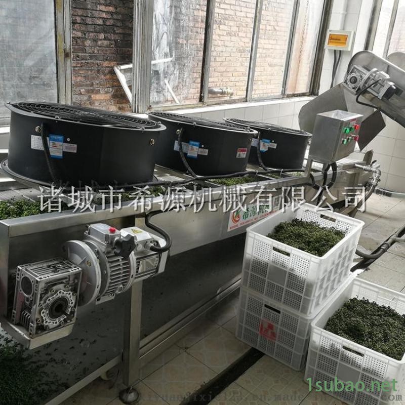 全自动花椒清洗机，花椒杀青机，花椒漂烫机成套设备图4