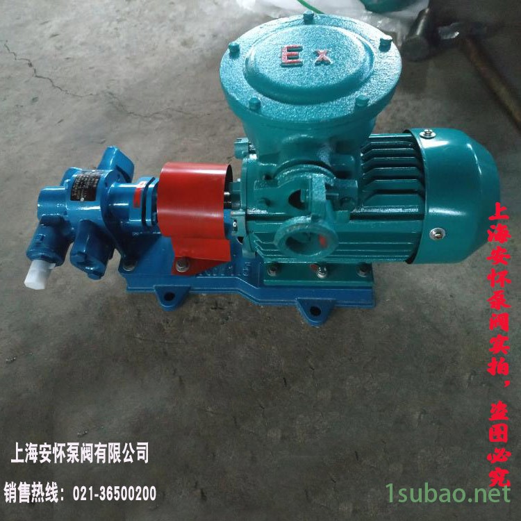 KCB-135不锈钢齿轮泵/合金轮齿轮泵/耐磨齿轮油泵/润滑油齿轮泵图2