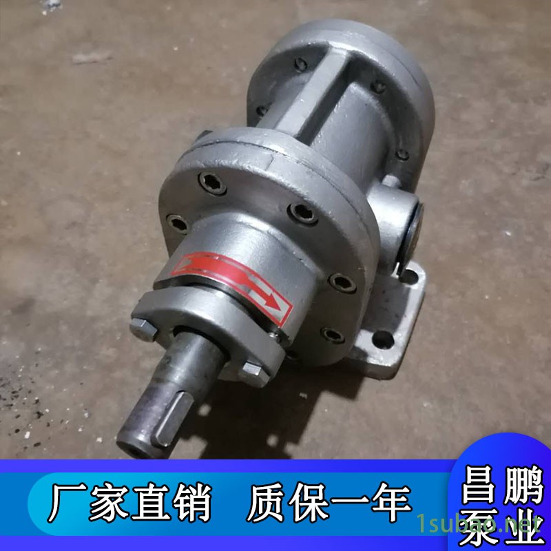 不锈钢齿轮泵2CY2.1-2.5高压油泵 润滑油输送泵 昌鹏泵业图2