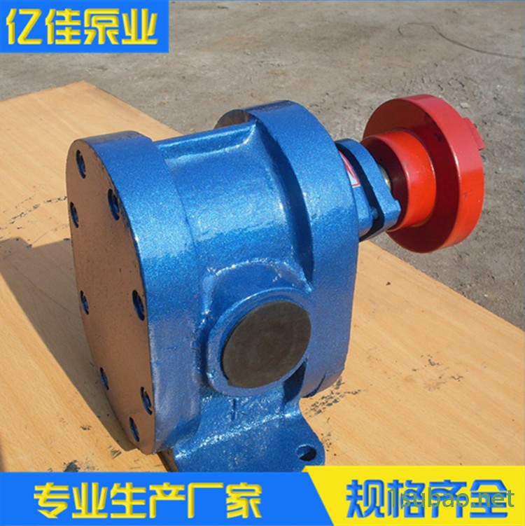 亿佳齿轮油泵 2CY齿轮泵 船用泵 润滑油输送泵 皂液输送泵型号齐全图2