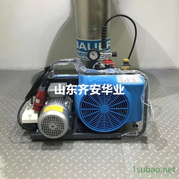 BAUER德国宝华JUNIOR II-E/W潜水呼吸器充气泵油水分离滤芯、润滑油图2