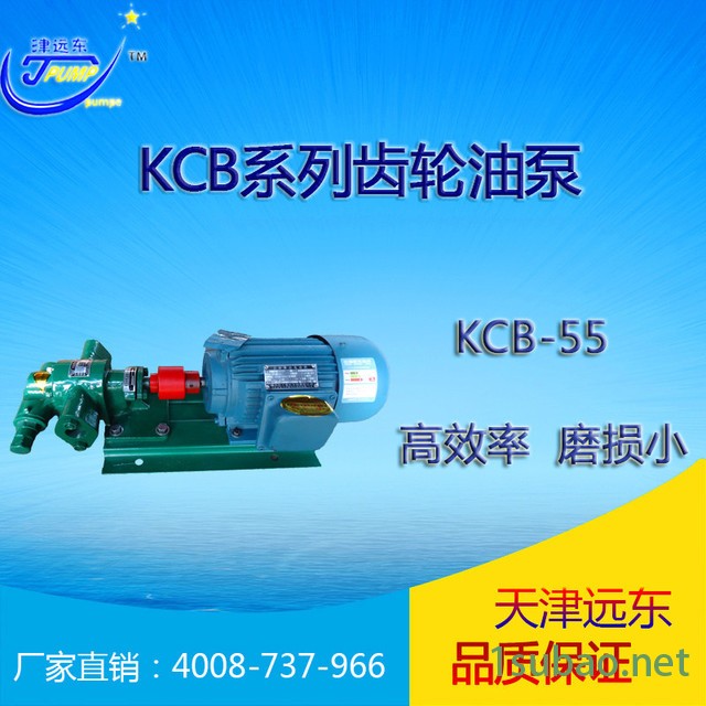 润滑油齿轮泵 津远东牌 KCB齿轮泵 KCB-55齿轮泵 燃油输送泵 厂家直销 量大从优图2