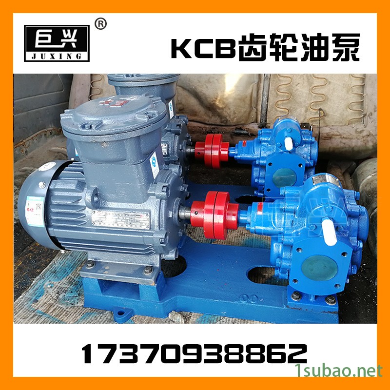 批发 kcb齿轮泵 KCB-633大流量齿轮泵 润滑油输送油泵 铸铁双向齿轮油泵图2