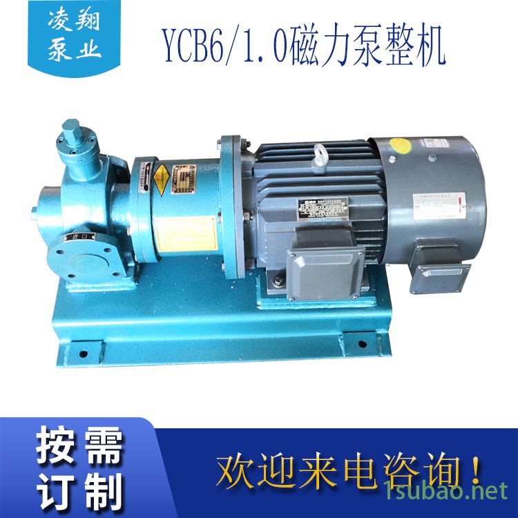 凌翔铸铁圆弧齿轮油泵 YCB30 30m3/h 0.6Mpa 润滑油输送泵 船用燃料油输送泵 质保一年图2