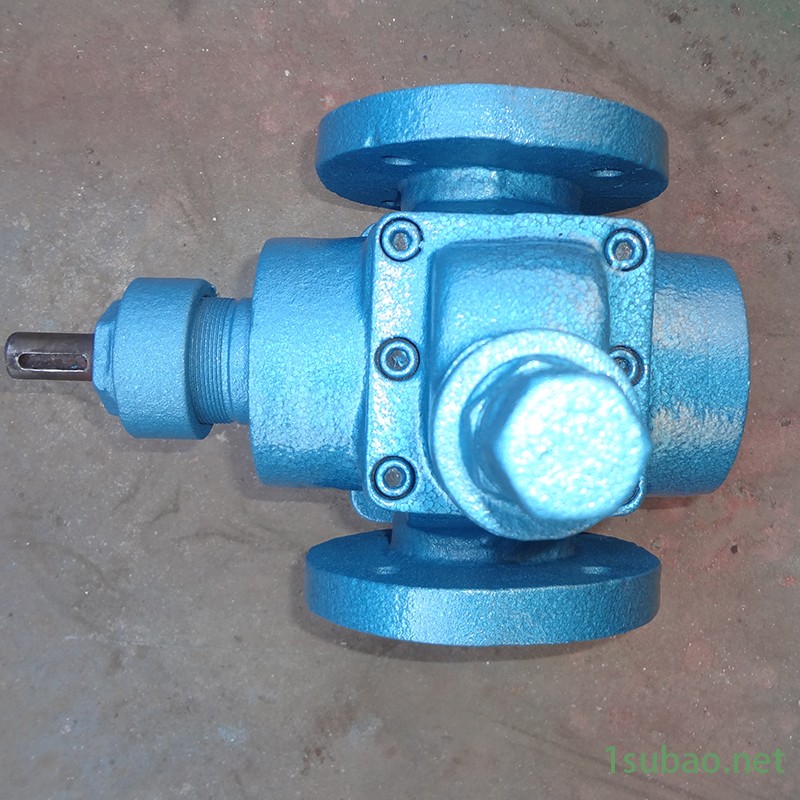 圆弧齿轮泵 帕姆泵 YCB0.6/0.6 润滑油输送添加剂泵图2