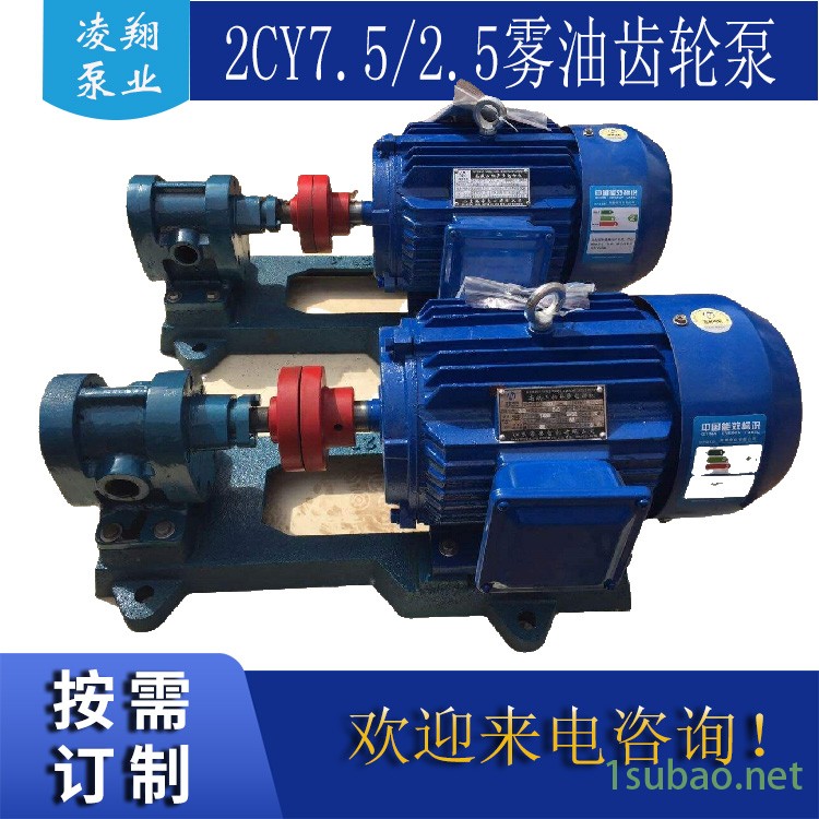 2CY4.2垃圾焚烧柴油泵 液压传动系统润滑油输送泵 燃油喷射齿轮泵 凌翔油泵图2