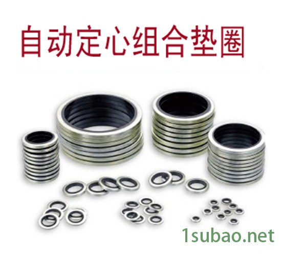 组合垫圈不锈钢橡胶组合垫圈    橡胶金属组合垫圈不锈钢组合密封垫圈图2