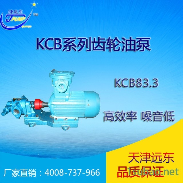 KCB-83.3齿轮油泵 津远东牌 齿轮式输油泵 润滑油输送泵  源头厂家图2