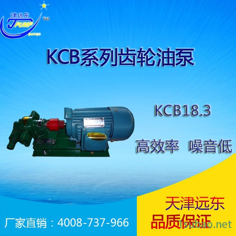 KCB齿轮泵 润滑油输送泵  大流量齿轮油泵 天津远东 厂家直销图2