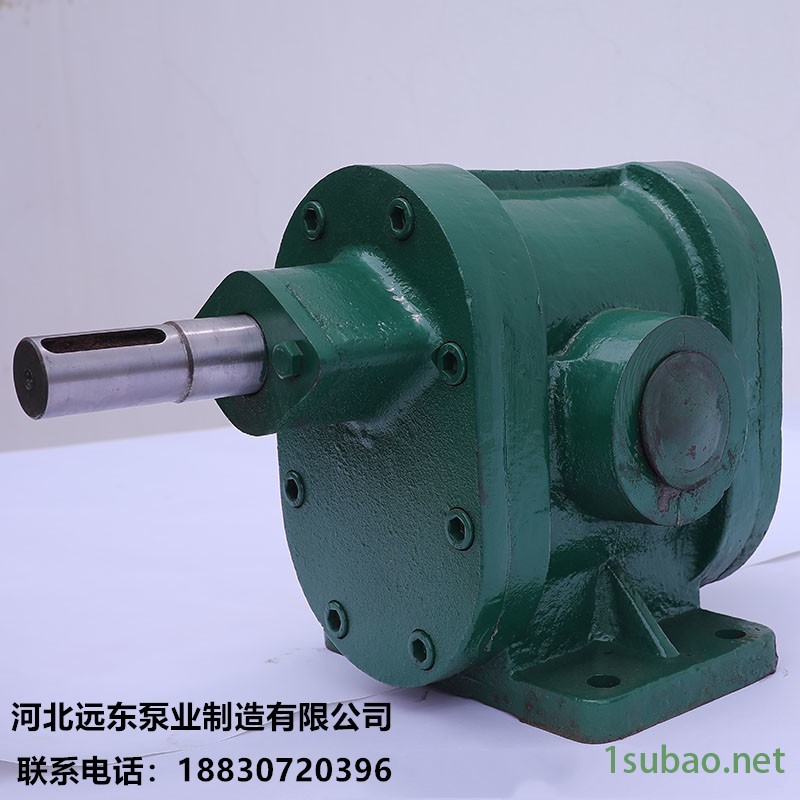 输送润滑油泵用 2CY-3/2.5 齿轮泵可输送120度以下介质  也可做加压燃油泵-泊远东图2