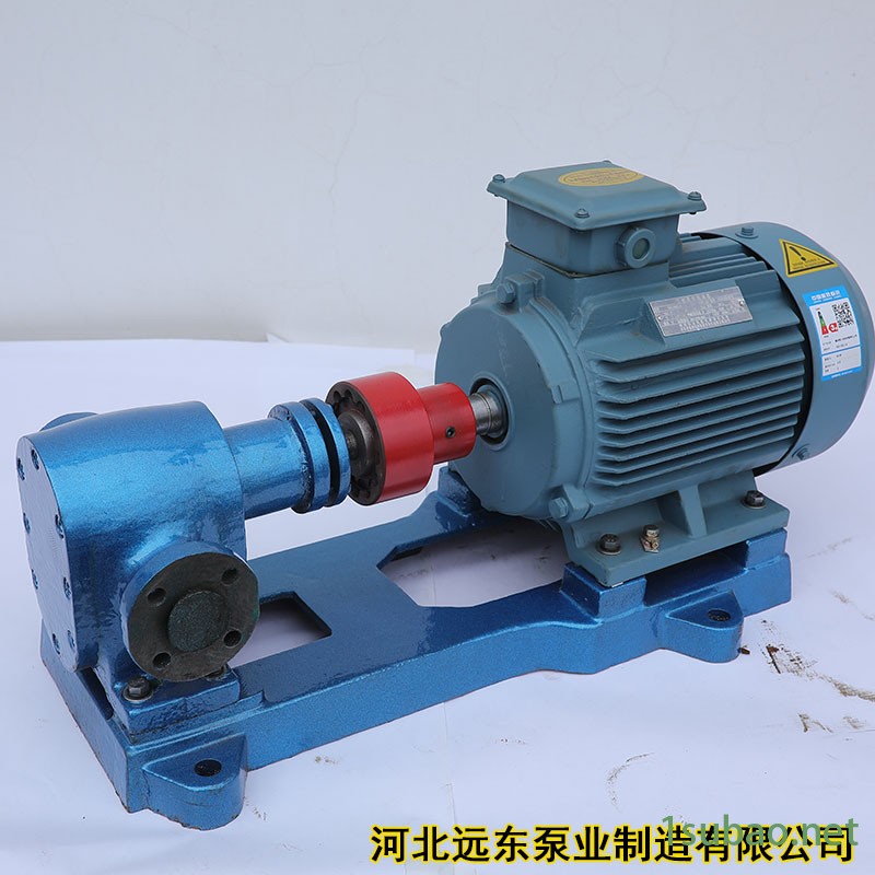 输送各种润滑性差的介质用  2CG-15齿轮泵 润滑油   油渣泵输送泵-泊远东图2