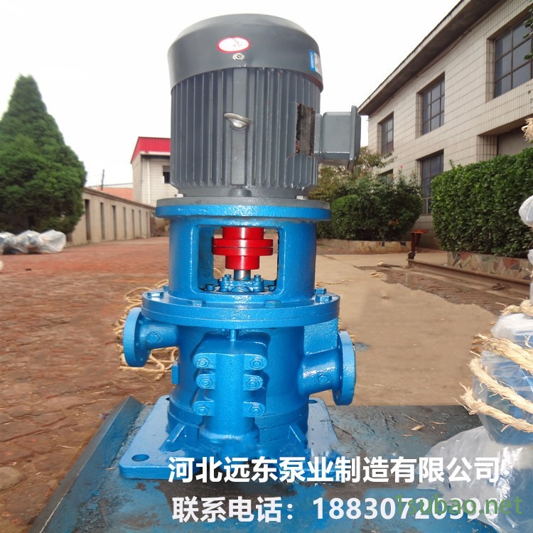 供应3GCLS1002W23 立式船用三螺杆泵 润滑油输送泵原油泵 -河北远东图2