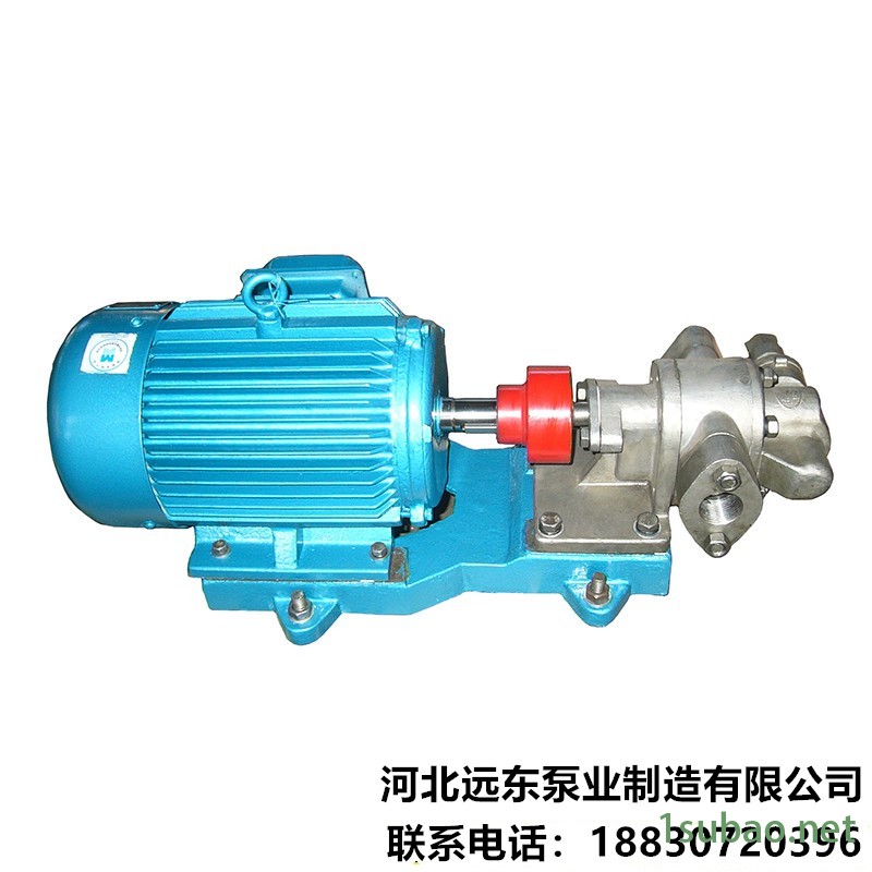 汽轮机润滑油齿轮泵 KCB-300/0.36 输送燃油泵 噪音低 -泊远东图2