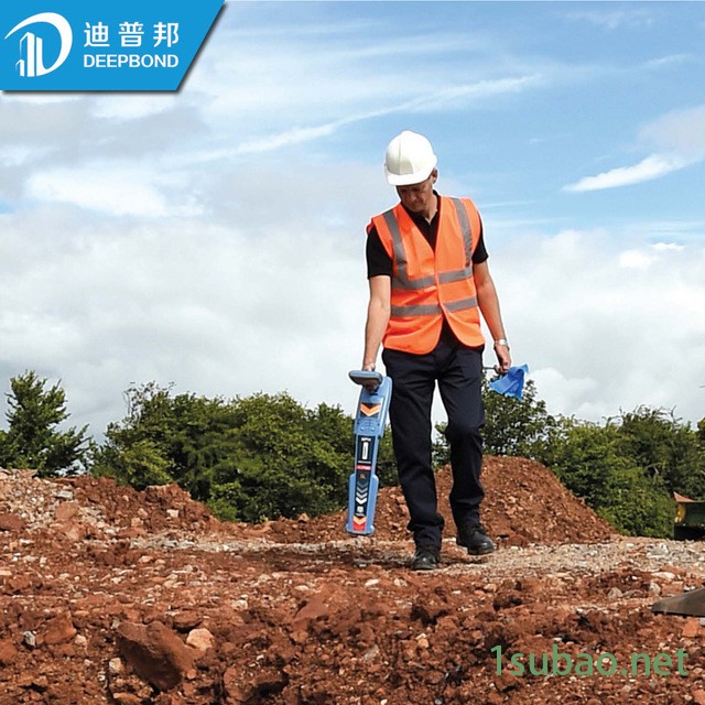 金属管道走向探测仪 多功能管线仪英国雷迪RD8200精确管线定位仪图2