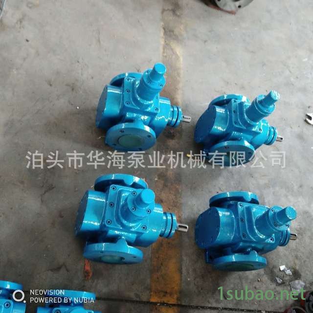 河北泊华海泵业厂价直销YCB1.6/1.6不锈钢圆弧齿轮食品输送泵润滑油输送泵化工产品输送泵植物油输送泵燃油泵质保一年图3
