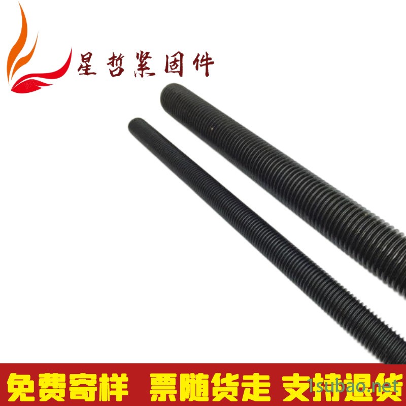热镀锌3米丝杆 高强度全螺纹牙条螺杆  订制不锈钢m8m10丝杆丝杠星然规格齐全图2