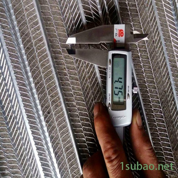 厂家供应 恩兴 建筑网膜 轻钢别墅用钢网  免拆注浆金属模网 有筋网 可加工图2