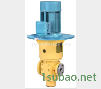 永骏 SNK280-46 悬挂式三螺杆泵 稀油站润滑螺杆油泵 泵头图2