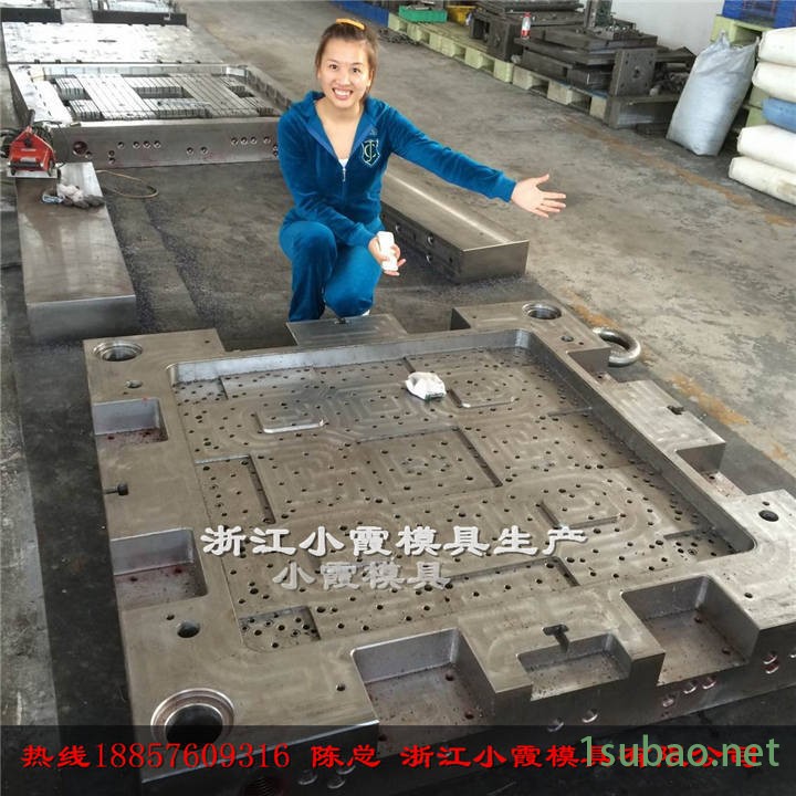 A注射托盤模具廠 (18)