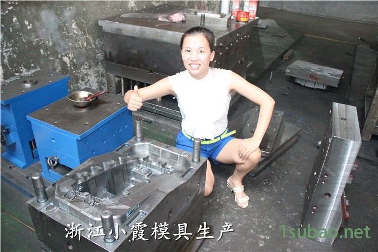 汽車(chē)模具 (174)